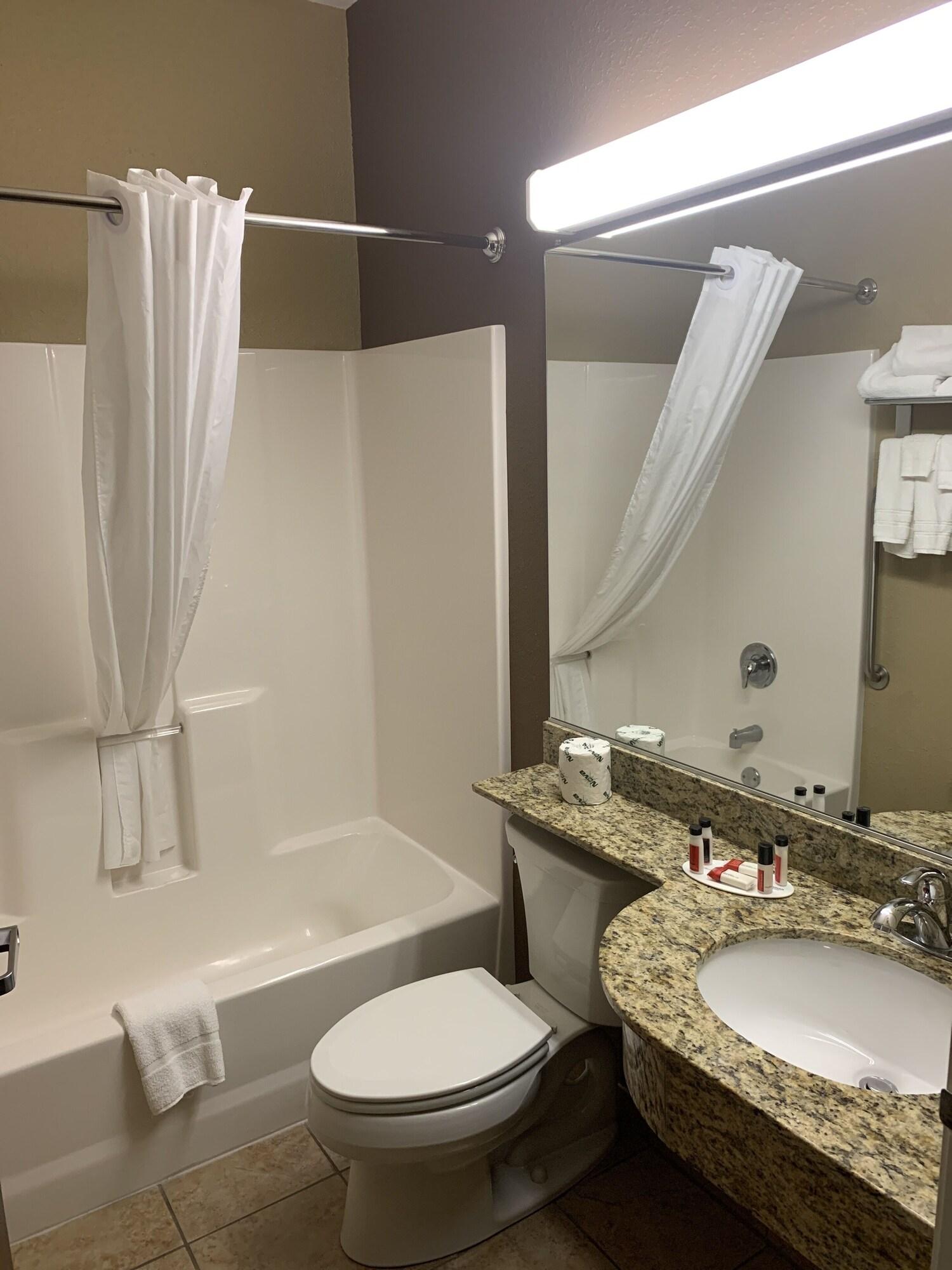 Microtel Inn & Suites-Sayre, Pa מראה חיצוני תמונה