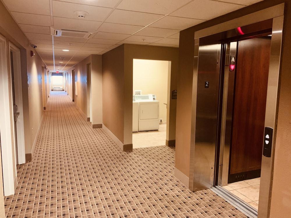 Microtel Inn & Suites-Sayre, Pa מראה חיצוני תמונה